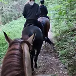 Villa Bialego Wilka W Zawoi *