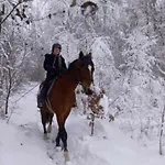 Bialego Wilka W Zawoi * Zawoja